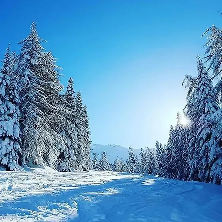 Apartmán Casa Bis Gravere